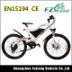 2017 High Quality 500W Motor Mountain Electric Bicycle Ebike